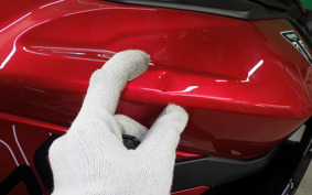 TRIUMPH TIGER 900 GT PRO 2024