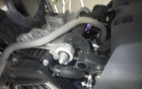 HONDA TACT Basket 2023 AF79