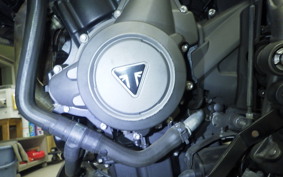 TRIUMPH TIGER 800 XR T 2019