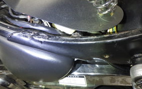 YAMAHA VIRAGO 250 2022 3DM