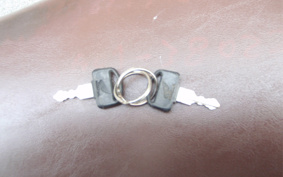 HONDA LITTLE CUB AA01