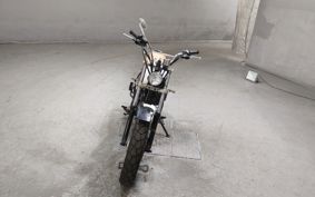 YAMAHA TW225 DG09J