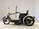 Фото Other +UNREGISTERED MODEL by BDS TRIKE240 с японского аукциона