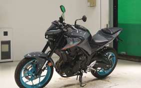 YAMAHA MT-25 A RG74J