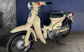 HONDA LITTLE CUB C50