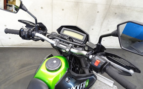 KAWASAKI KLX125D TRACKER X LX250V
