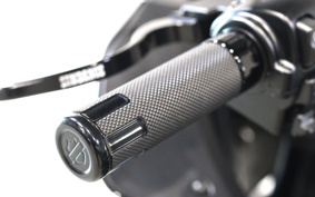 HARLEY FXLRST 2023 YXZ