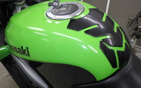 KAWASAKI ZZ-R250 EX250H