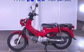 OTHER  CROSS  CUB 110-2