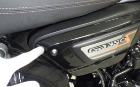 HONDA GB350S 2024 NC59