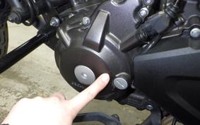 HONDA REBEL 250 S 2010 MC49