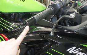 KAWASAKI NINJA ZX-6R A 2023 ZX636G