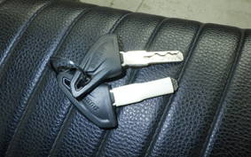 DUCATI SCRAMBLER 2021