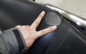 HONDA VTR 250 Gen. 2 MC33