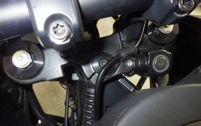 HARLEY PAN AMERICA 1250 2021