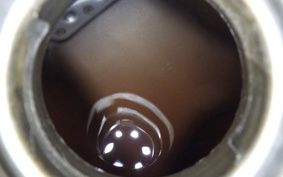 YAMAHA WR250X 2010 DG15J