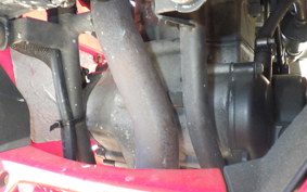 OTHER +ﾒｶﾞﾘ250R