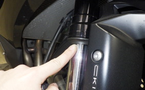 KAWASAKI NINJA ZX-6R A 2019 ZX636G