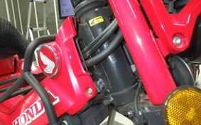 HONDA CT125 HUNTER CUB 2019 JA55