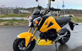 HONDA GROM JC61