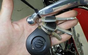 HARLEY FLI1870 2024