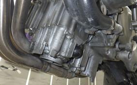 HONDA HORNET 250 2025 MC31