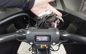 HARLEY FXLRST1920 2024