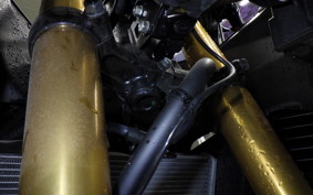 HONDA CBR250RR A 2019 MC51