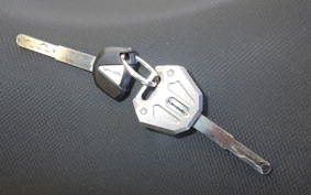 KAWASAKI NINJA 250 EX250Y