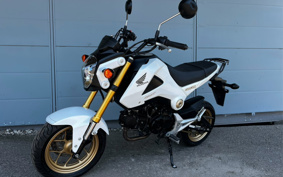 HONDA GROM JC61