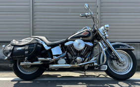 HARLEY FLSTC 2014 BJL