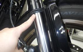 HARLEY FXLRS1920 2025