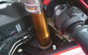 DUCATI 1299PANIGA-RES 2015 ZDMH905JAFB