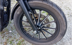 HARLEY XL883N 2015 LE2