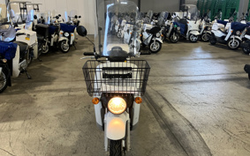 HONDA  BENLY  PRO  AA05