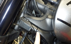 TRIUMPH TRIDENT 660 2021