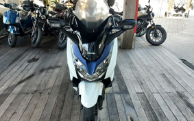 HONDA  FORZA 250 MF13