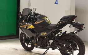 KAWASAKI NINJA 250 2 2018 EX250Y