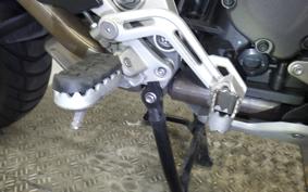TRIUMPH TIGER 1200 RALLY EX 2023