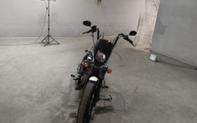 HARLEY XL1200NS 2018 LP3