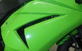 KAWASAKI NINJA 250R EX250K