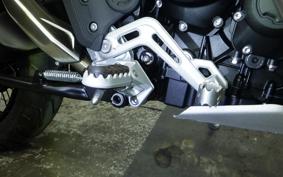 TRIUMPH TIGER 900 RALLY PRO 2026