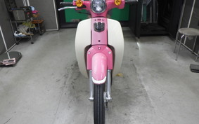 HONDA C110 SUPER CUB 2014 JA44
