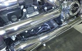 HARLEY FXBR1920 2025