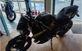 KAWASAKI Z250 EX250P