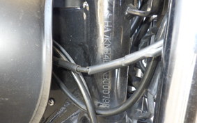 OTHER +UNREGISTERED MODEL by BDS250