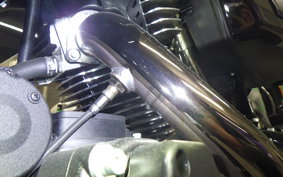 HARLEY FLHXSE1980CVO 2025