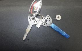 YAMAHA WR250X 1999 DG15J