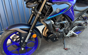 YAMAHA MT-03 2024 RH21J