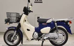 HONDA C110 SUPER CUB 2025 JA61